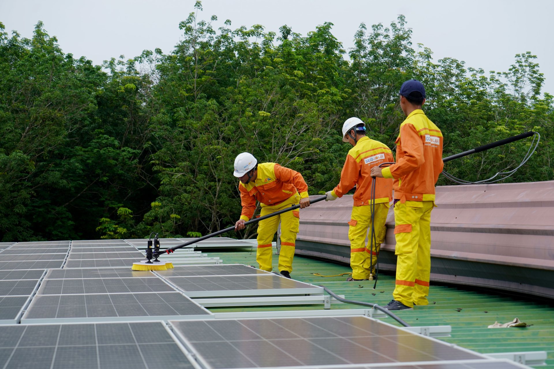 Drei Techniker in Arbeitskleidung und mit Schutzhelmen reinigen Solarmodule auf dem Dach im Rahmen eines Projekts für erneuerbare Energien.